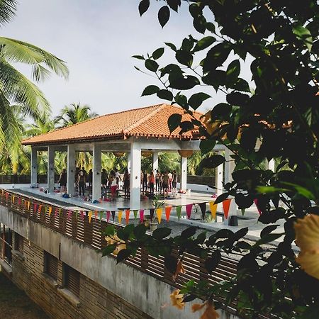 Utmt - Underneath The Mango Tree Spa & Beach Resort Dikwella Sur Exterior foto
